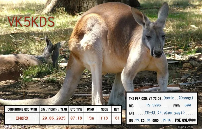 QSL card