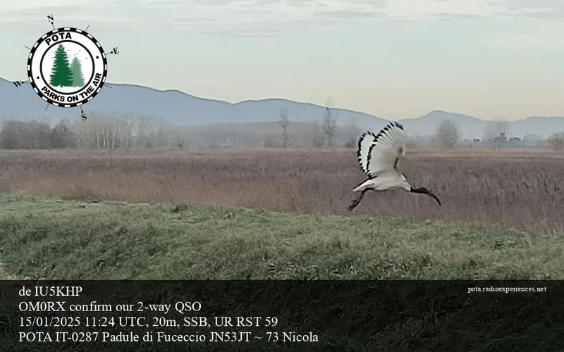 QSL card